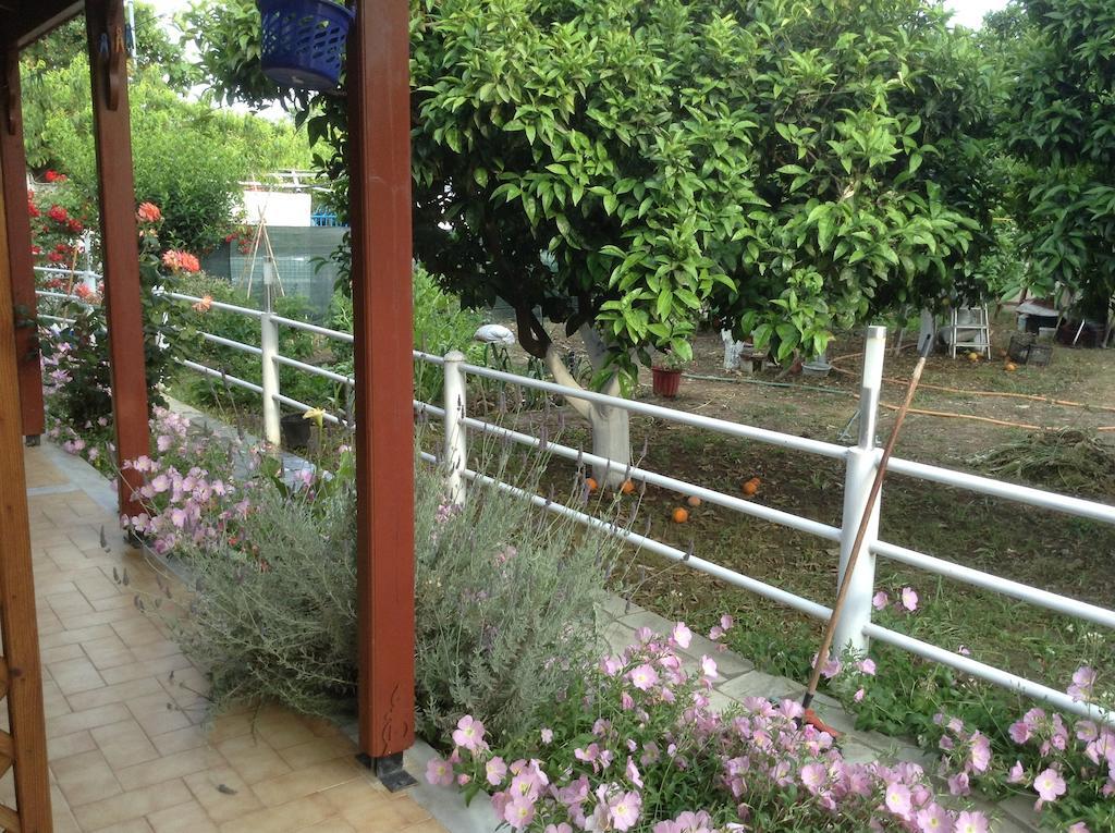 Studios Lalu Σκιάθος Πόλη Δωμάτιο φωτογραφία