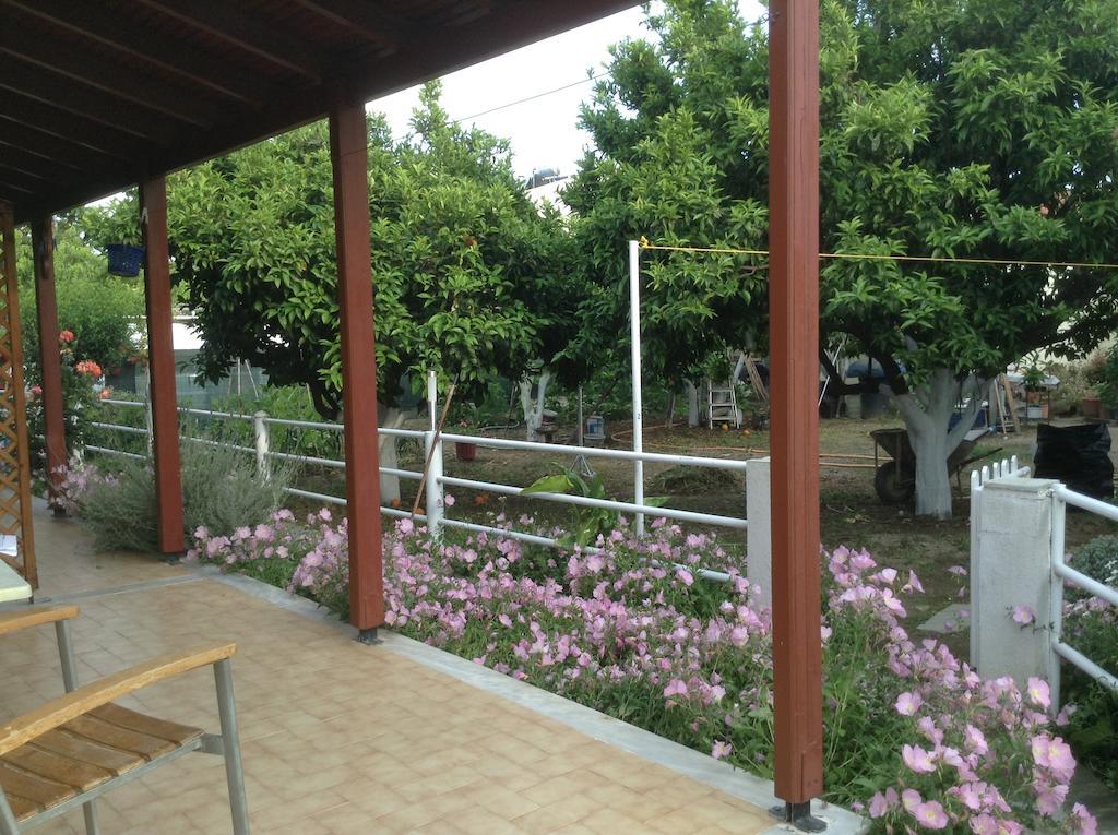 Studios Lalu Σκιάθος Πόλη Εξωτερικό φωτογραφία